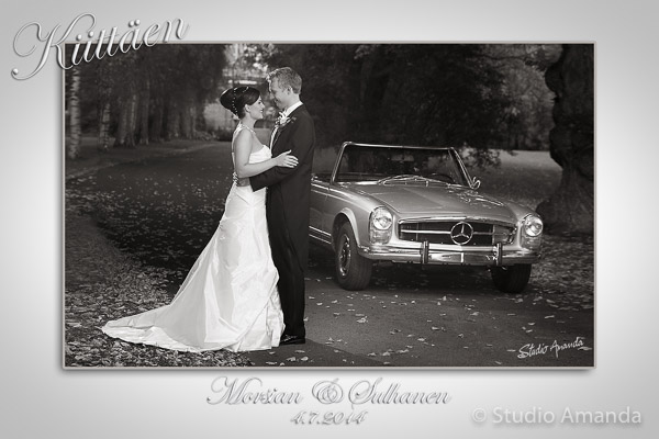 Kortin koko 10x15 cm. Hinta: 12e/ensimmainen, 3e/seuraavat kpl:t samasta kuvasta